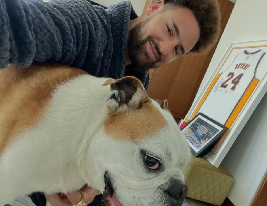 克萊告別愛犬Rocco：你將在狗狗的天堂里繼續玩籃球