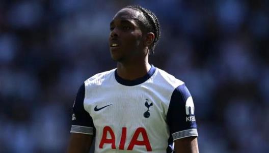 熱刺欲永久簽下特爾，5000萬英鎊條款或降至3000萬英鎊