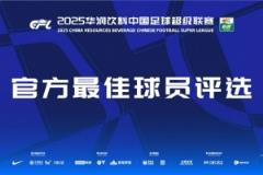 中超第10輪最佳球員候選：王鈺棟、劉祝潤、紹爾、羅慕洛、阿齊茲入選