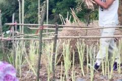 不忘初心！CBA球員矣進宏回到老家幫家人干活