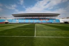 亞泰主場草坪煥新，綠意盎然引人駐足